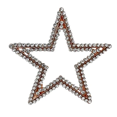 گل سینه زنانه مدل ستاره کد G4080